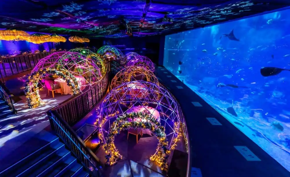 Siobhan Ginty Universal Studios Resorts World Sentosa Singapore Aqua Gastronomy